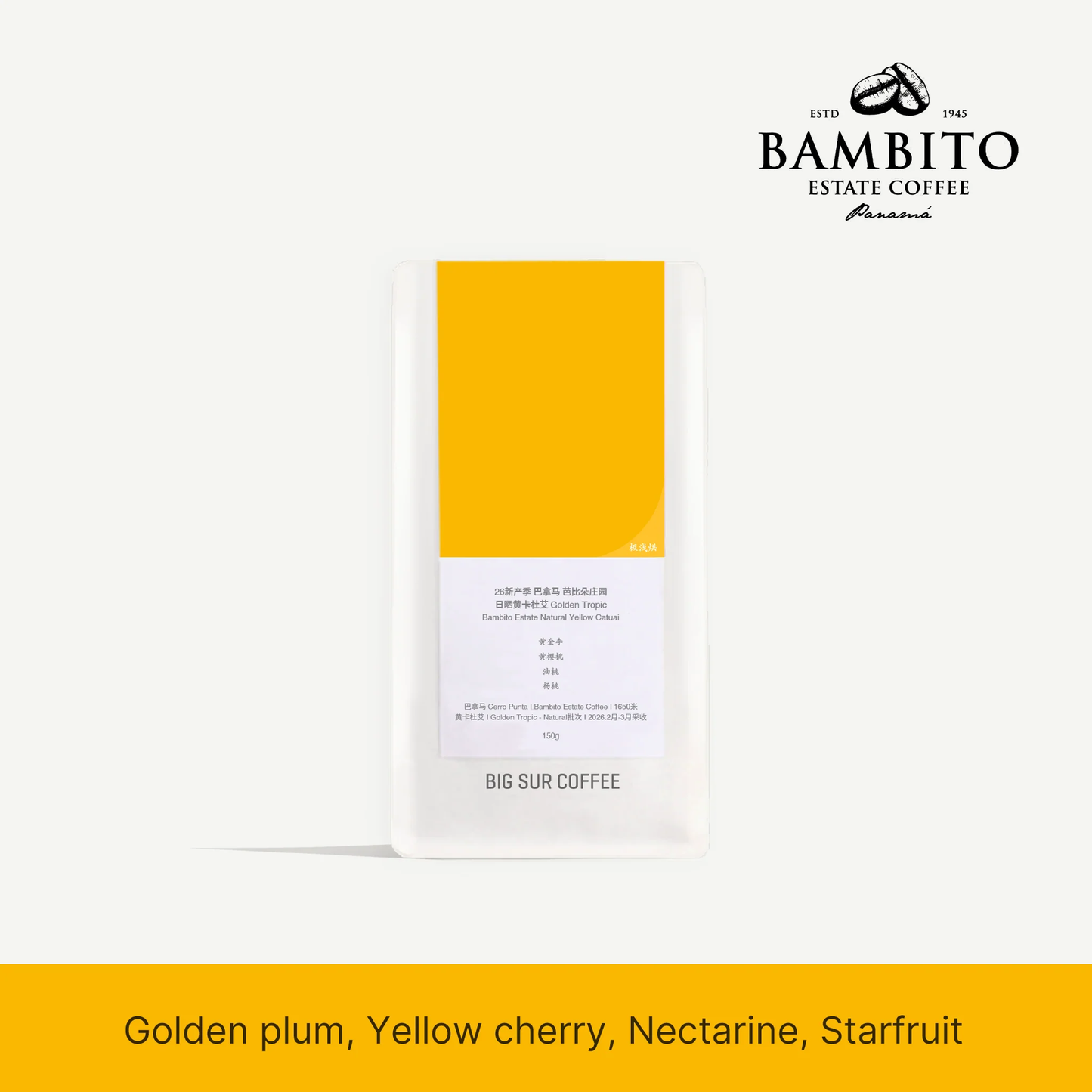 Big Sur Panama Bambito Estate Natural Yellow Catuai Golden Tropic