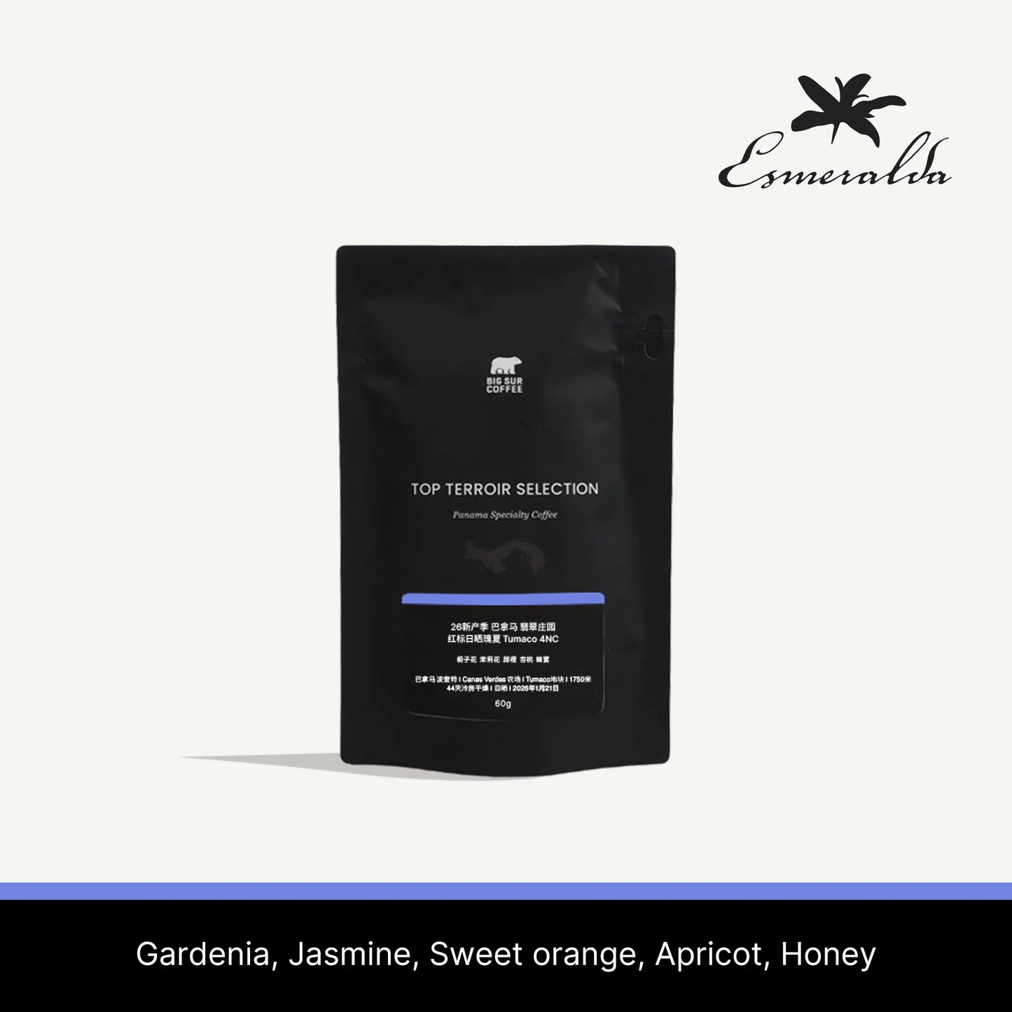 Big Sur Panama Esmeralda Special Natural Geisha Tumaco 4NC