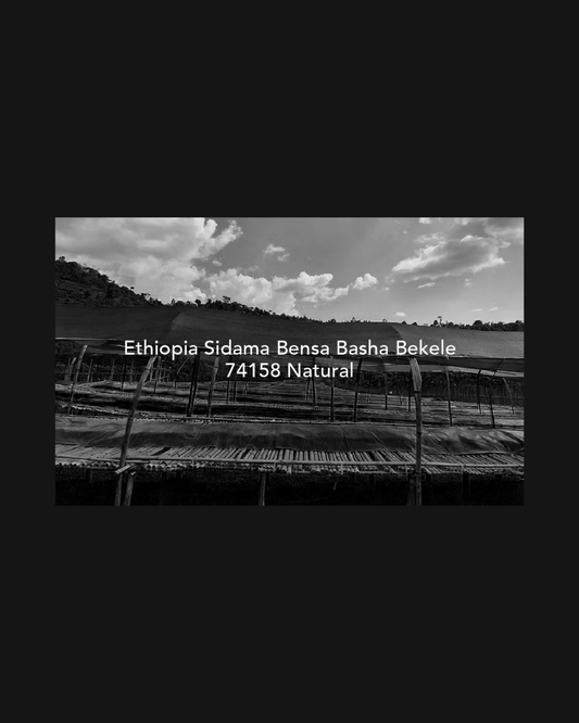 Moby Dick - Ethiopia Bensa Basha Bekele