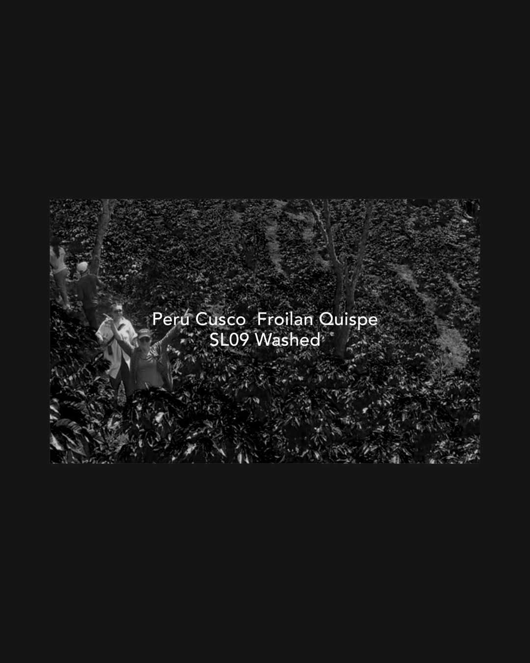 Moby Dick - Peru Froilan Quispe SL09