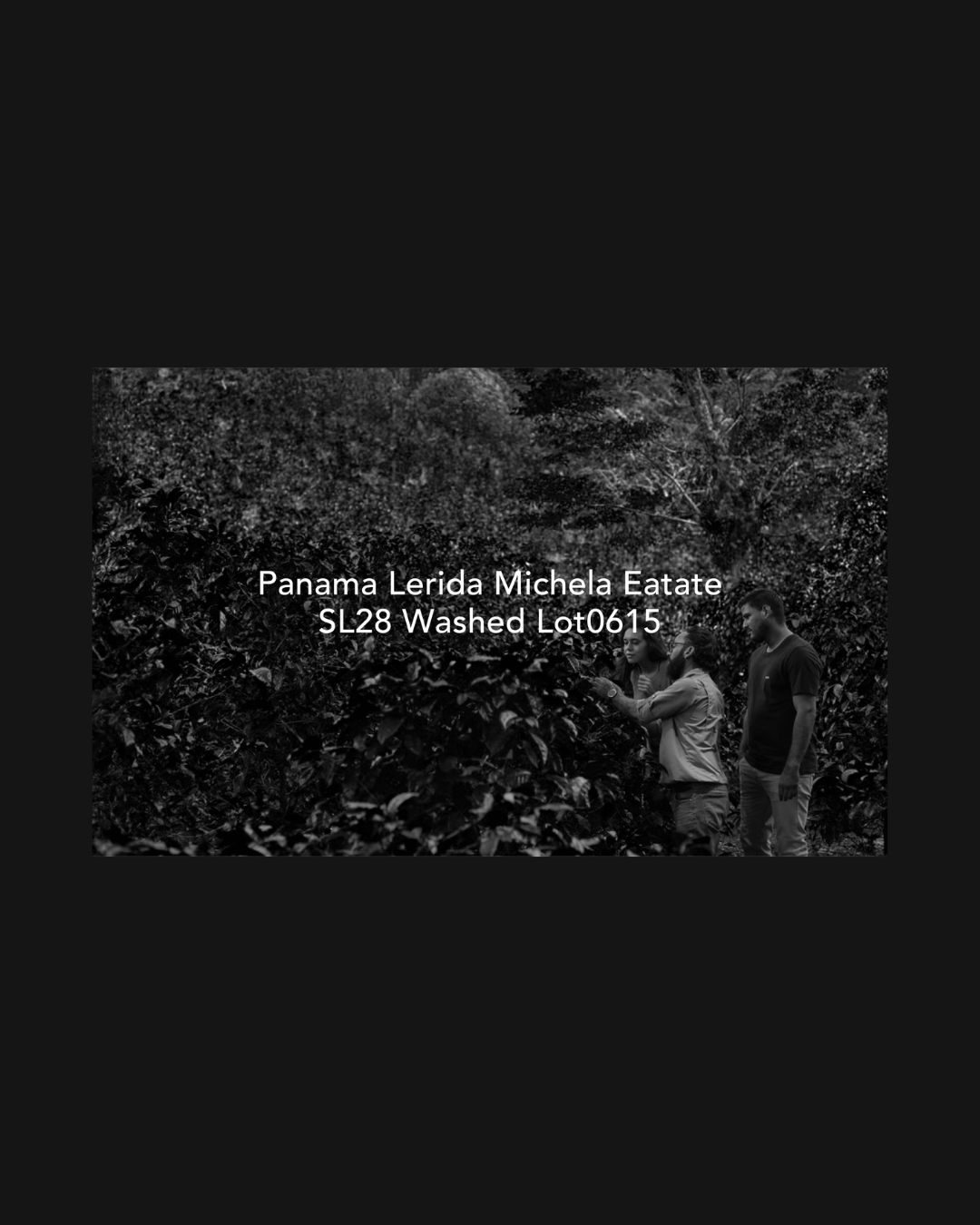 Moby Dick - Panama Lerida Michela Eatate SL28