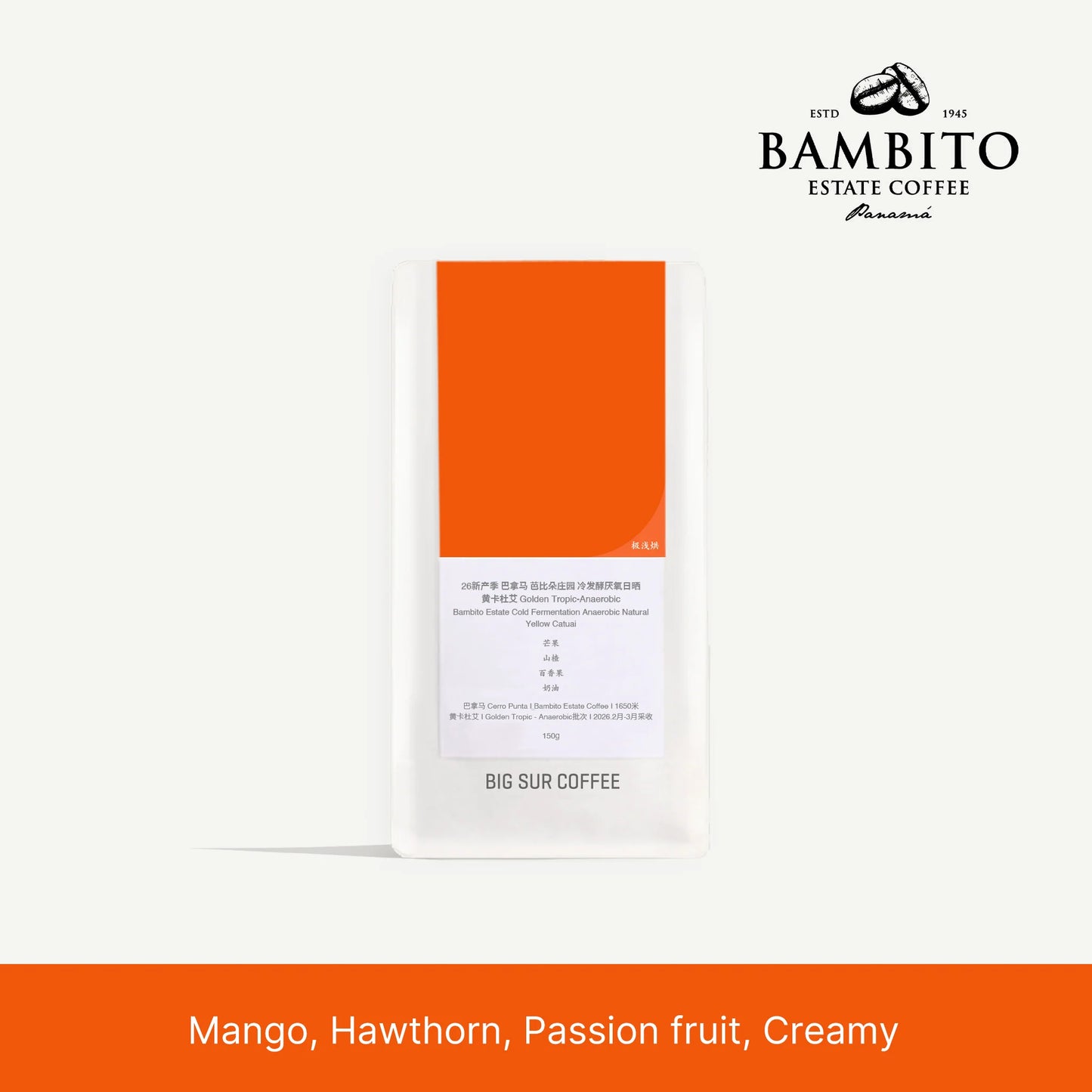 Big Sur Panama Bambito Estate Cold Fermentation Anaerobic Natural Yellow Catuai