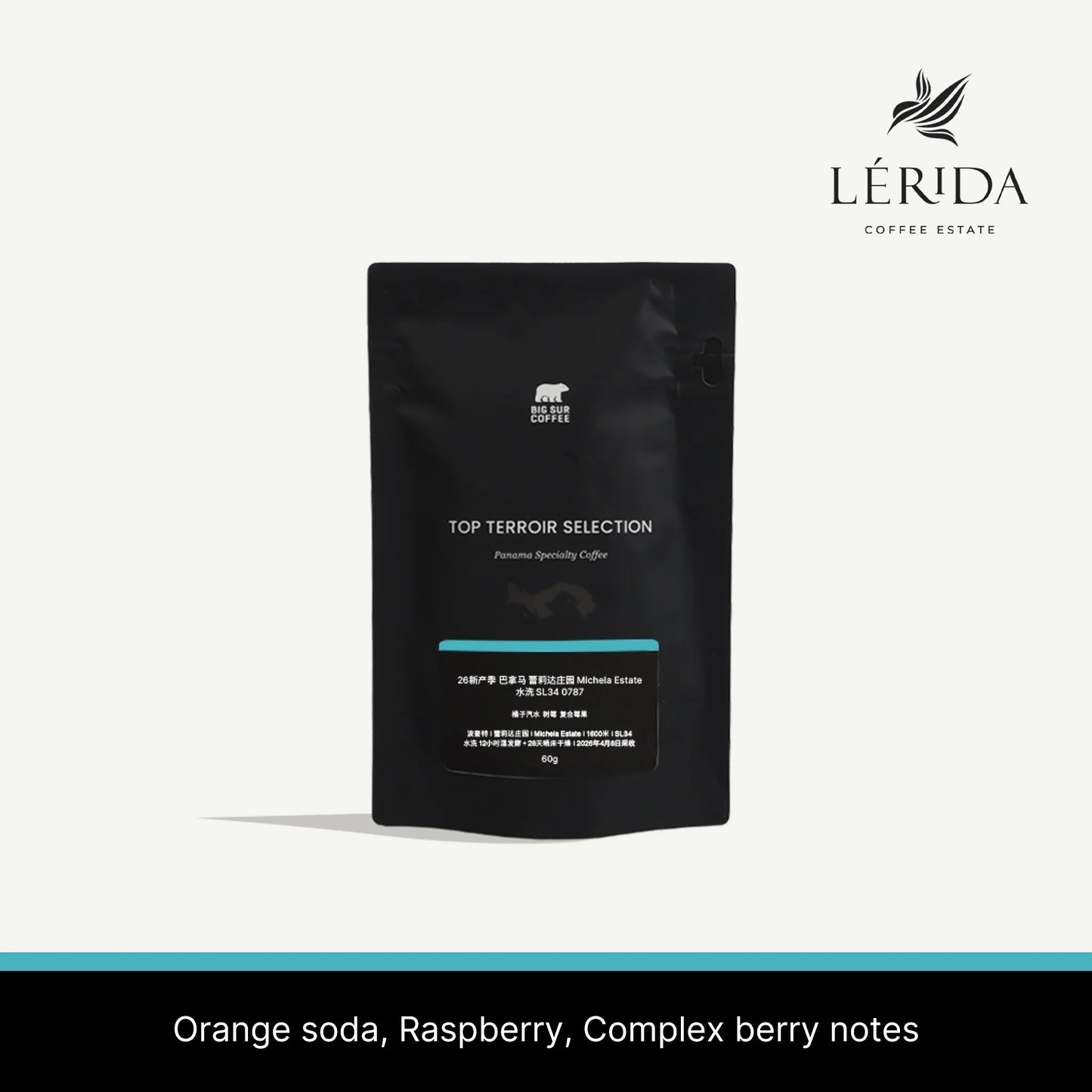 Big Sur Panama Finca Lerida Michela Estate Washed SL34