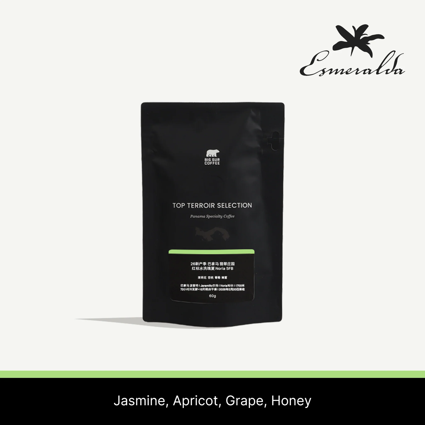 Big Sur Panama Esmeralda Special Washed Geisha Noria 5FB