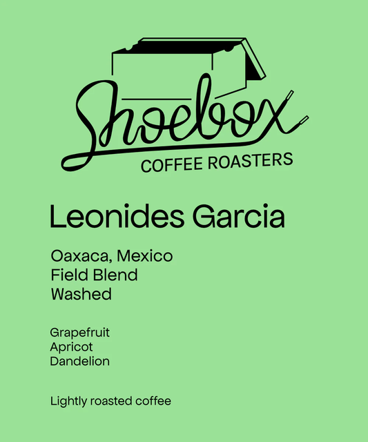 Shoebox - Mexico Leonides Castro Garcia
